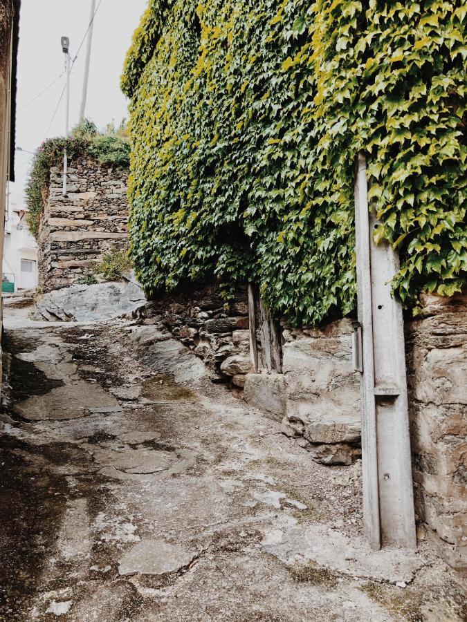 Гостевой дом Casa Do Douro Алижо Экстерьер фото